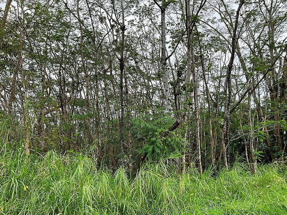 2nd image of 19th Ave Lot 1460
