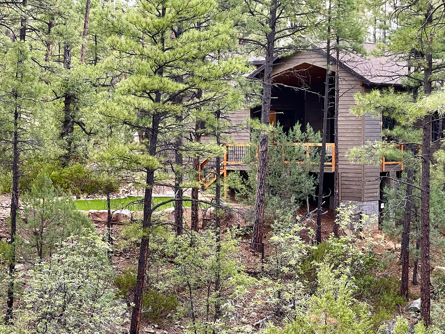 S Pleasant View Dr, Show Low — Photo 3