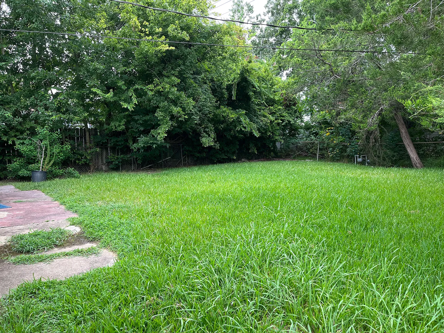 2 bed, 746 sqft, $1,350 — Photo 4