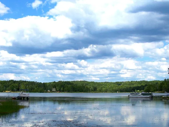 3472 High Pine Ct, Wolverine, MI 49799