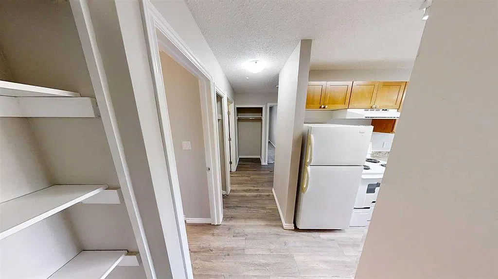 1 bed, 1.0 bath, 675 sqft, $1,339 — Photo 3