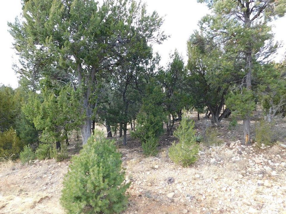 1st image of 1536 Rocky Top Dr