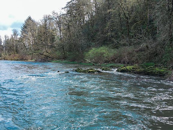 4th image of 38050 Highway 228