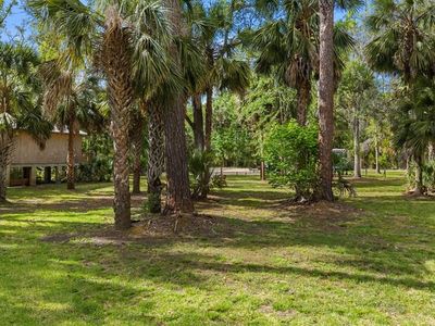 1468 NE JR Howell Rd, Steinhatchee, FL, 32359