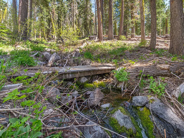 3550 Courchevel Rd — Photo 43