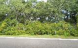 1st image of Safe Harbor Lane Fernandina Beach Amelia Is