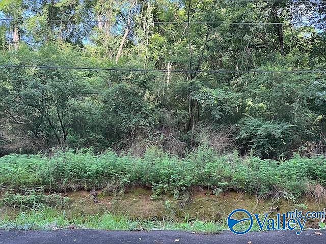 2nd image of 3.07 Acres Pine Dr