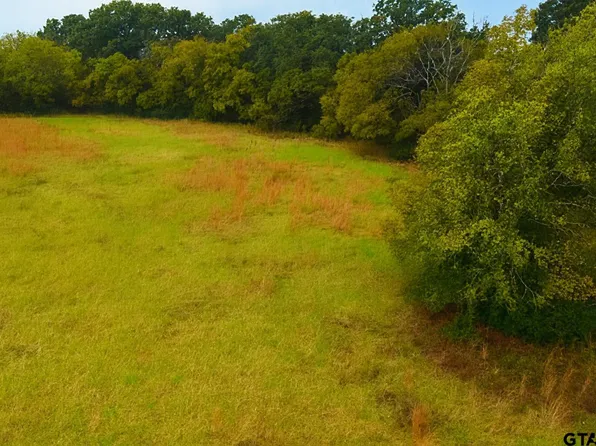 20.83 Vz County Road 1118, Grand Saline, TX 75140