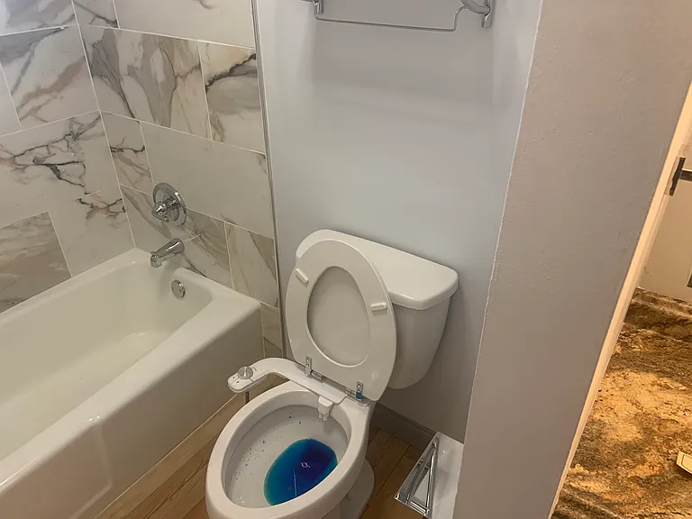 Bathroom toilet with bidet