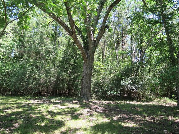 5th image of 3007 County Road 210