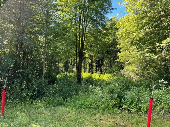 41 Roaming Rock Blvd, Rome, OH 44085