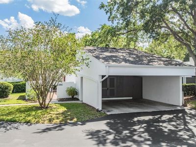 4002 Cypress Ct #4002, Tampa, FL, 33618