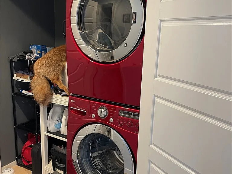 25 Vista Firenze — Photo 8