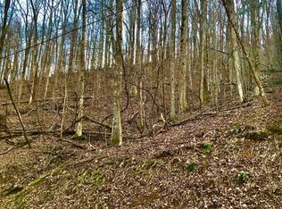 Mountain View Ct, Ellijay, GA 30536