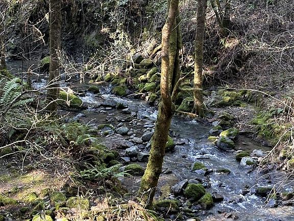 2nd image of 11930 Graton Rd