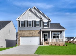 338 Chapin Place Way, Chapin, SC 29036
