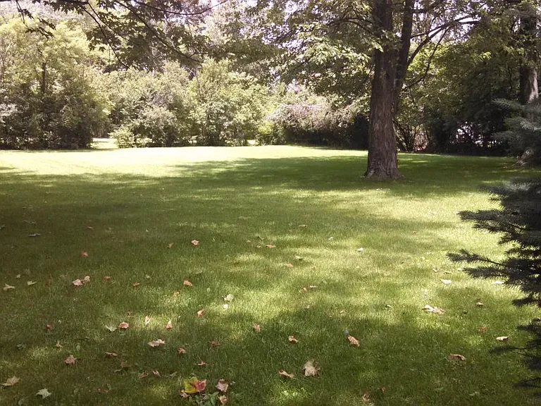 House backyard