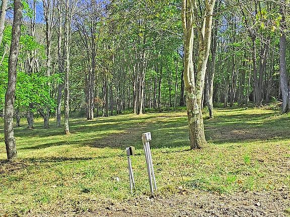 4th image of PARCEL 101 Rabbit Hollow Rd Lot 2