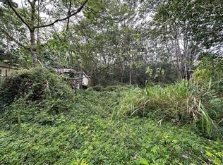 Pahoa Rd, Kurtistown, HI 96760