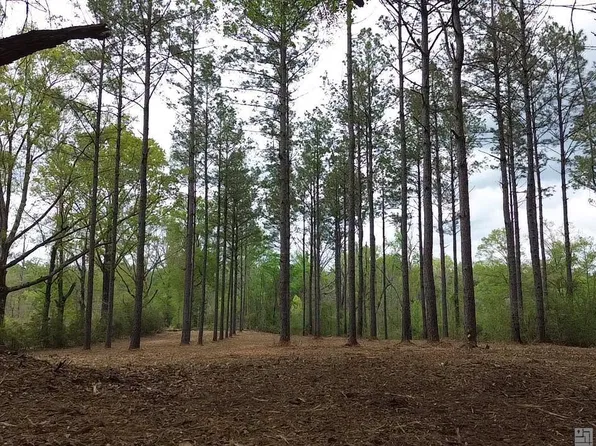 68434 Monroe Stevens Rd, Kentwood, LA 70444