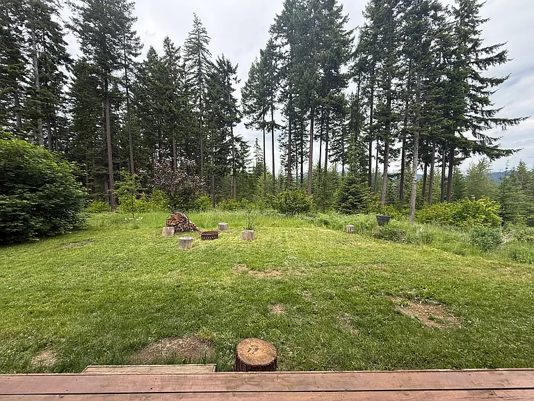 161 Stuart Ridge Rd — Photo 16
