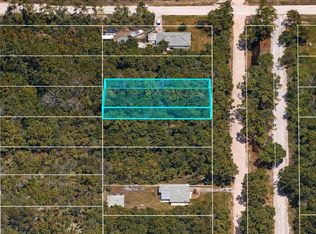 1170 Central Pkwy LOT 44, Deland, FL 32724