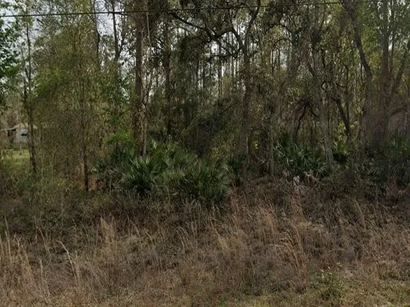 0 Britt St, Interlachen, FL 32148