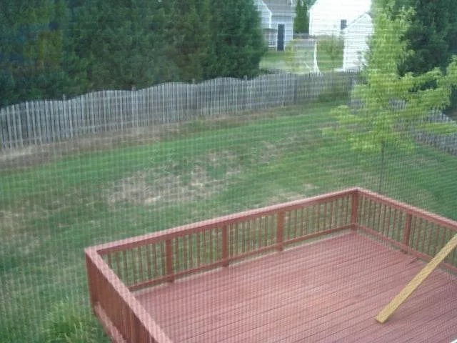 Private Backyard