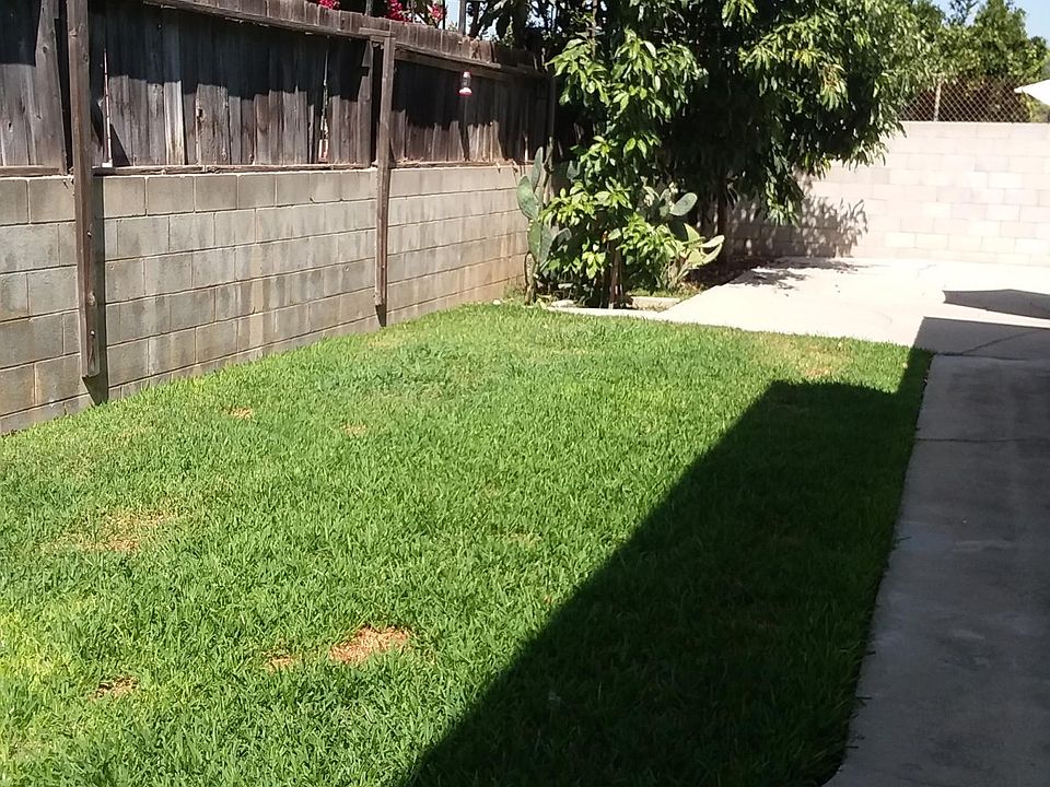 shared backyard space