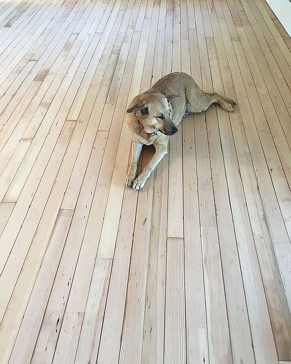 Hardwood floors