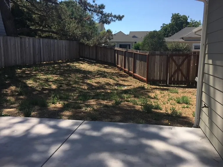 715 Bodega Ave — Photo 24