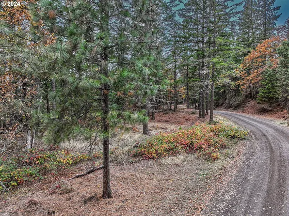 74 Kirbish Rd #1, Husum, WA 98623