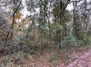 10th St LOT 14, Live Oak, FL 32060