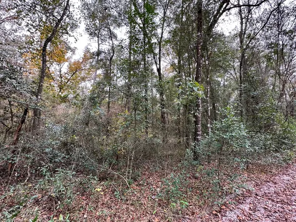 10th St Lot 14, Live Oak, FL 32060