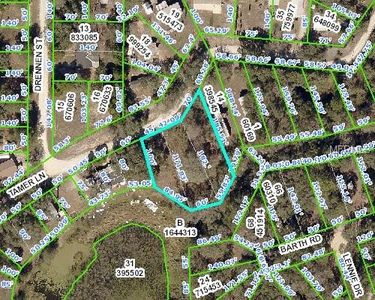 Tamer Ln, Dade city, FL, 33523