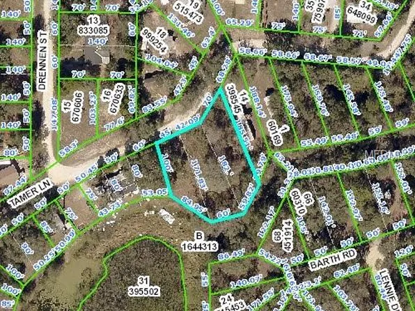 Tamer Ln, Dade City, FL 33523