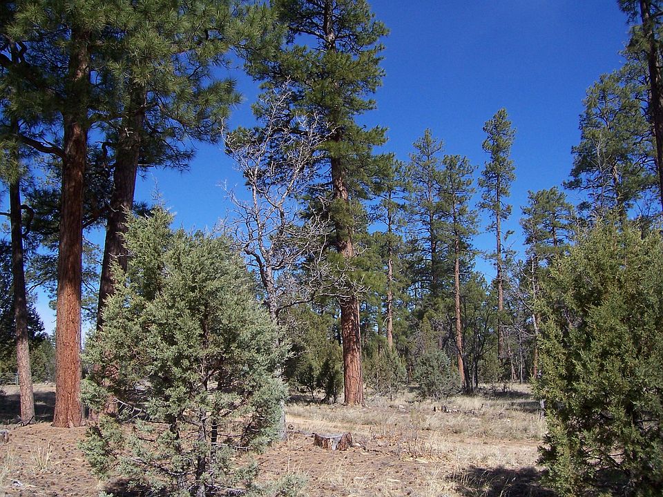 1st image of 1874 Sugar Pine Dr
