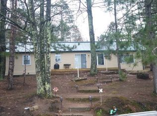 1197 Birchwood Dr, Saint Germain, WI 54558