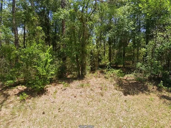 NW Buena Vista Rd Lot 3, Dunnellon, FL 34431