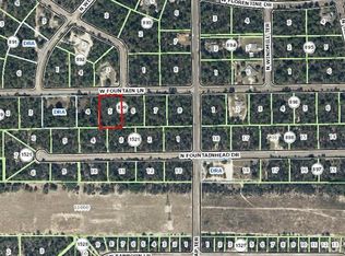 3900 W Fountain Ln, Citrus Springs, FL 34433