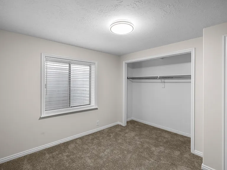 E Candle Spruce Cv — Photo 20
