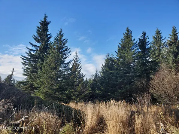 17309 Kimeluk St, Ninilchik, AK 99639