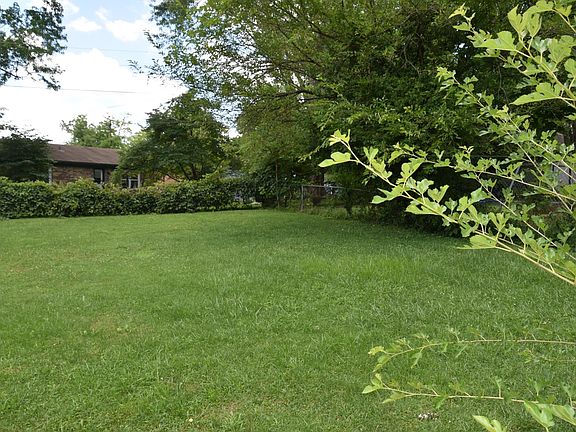 view of back yard