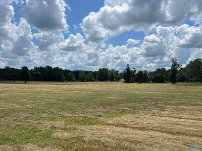 County Road 125, Moulton, AL, 35650
