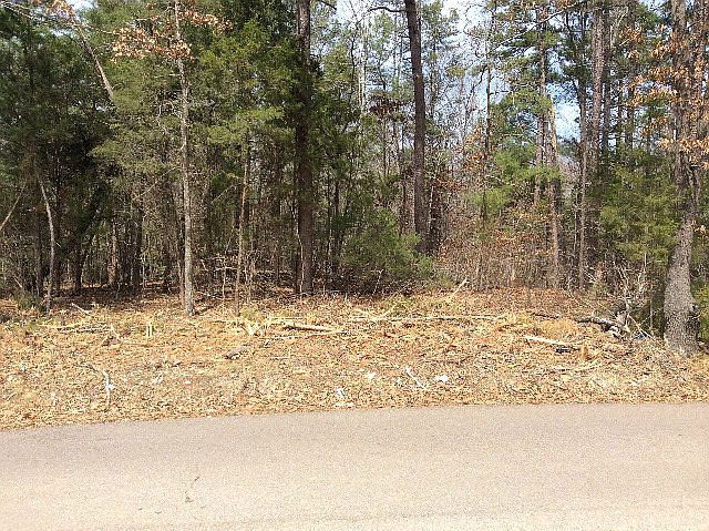 2nd image of S Lake Access Rd