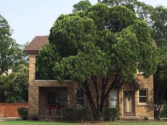 Landscaped front yard