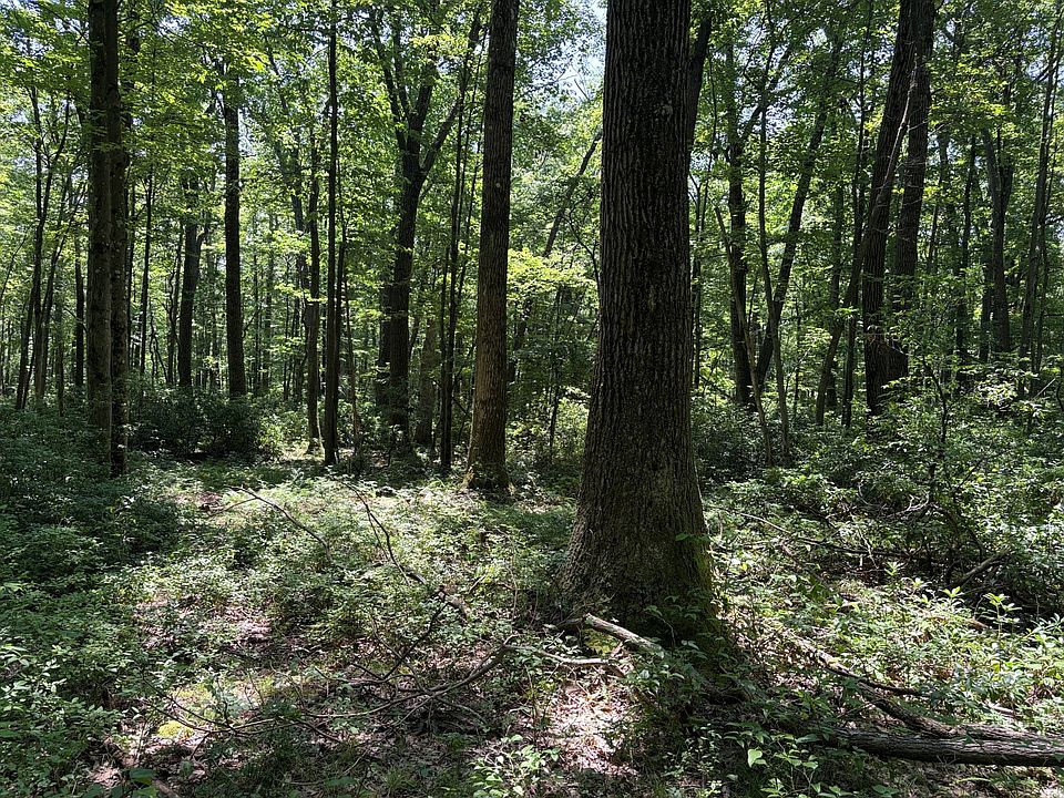 1st image of Greenwood Rd