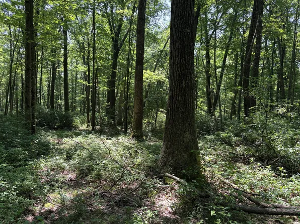 Greenwood Rd, Curwensville, PA 16833