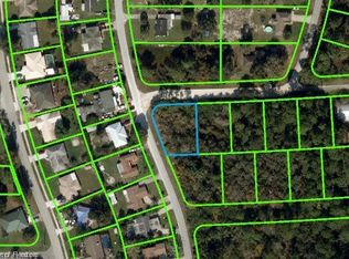 201 Howell Ct, Lake Placid, FL 33852