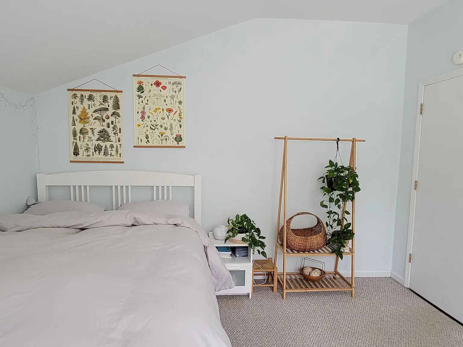 1 bed, 2584 sqft, $750 — Photo 3